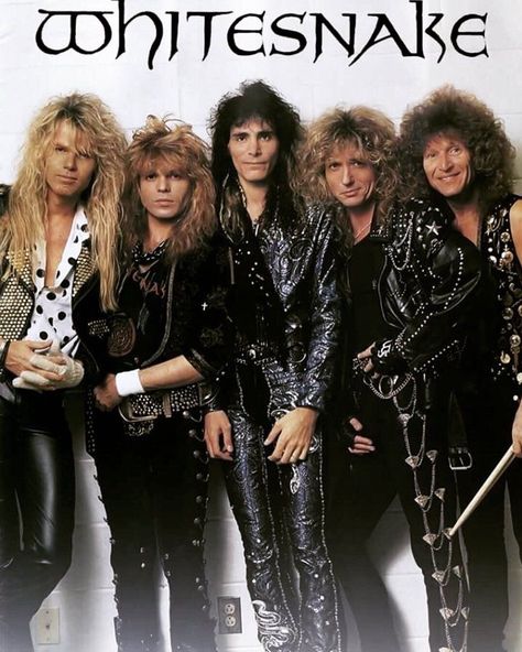 Whitesnake Band, Adrian Vandenberg, 80s Metal Bands, Classic Rock Artists, Loved Beyond Measure, 80s Heavy Metal, Glam Rock Bands, 80s Rock Bands, David Coverdale