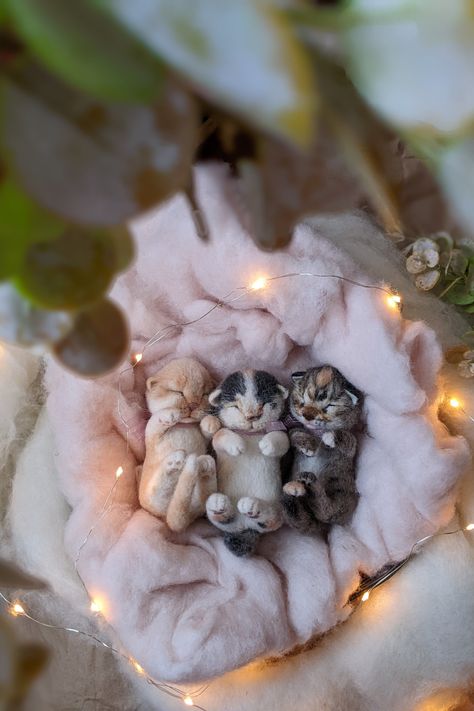 Needle felted realistic newborn kittens #newbornkittens #cats #calicocat #gingercat #TabbyCat Newborn Kitten Photoshoot, Kitten Photography, Angel Cats, Tracing Art, Needle Felted Cat, Draw Animals, Newborn Kittens, Kitten Photos, Angel Cat