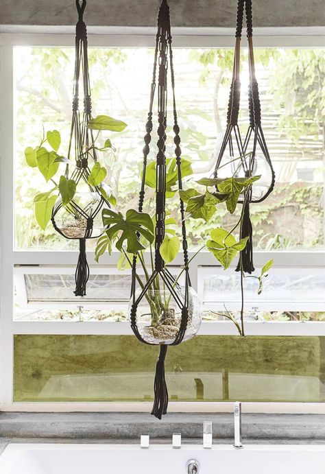 Suspended gardens: A well-placed indoor hanging plant (or three) is a joy to behold – never mind the mental and health-giving benefits of surrounding yourself with greenery. Macramé hangers in elegant black provide the perfect complement to transparent glass bowls filled with lush, leafy plants, their roots intriguingly exposed. | Inside Out July 2018 | Macrame decor: how to decorate with macrame Hanging Plant Ideas, Hanging Plants Outdoor, Wall Hanging Decorations, Hanging Plants Diy, Indoor Plant Wall, Macrame Plant Hanger Patterns, Kitchen Plants, Hanging Plant Wall, Black Macrame