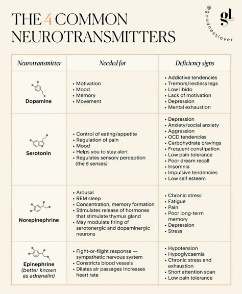 Brain Anatomy And Function, Dream Psychology, Learning Psychology, Psychology Notes, Psychology Studies, Basic Anatomy And Physiology, Mental Health Facts, Psychology Disorders, Mental Health Therapy