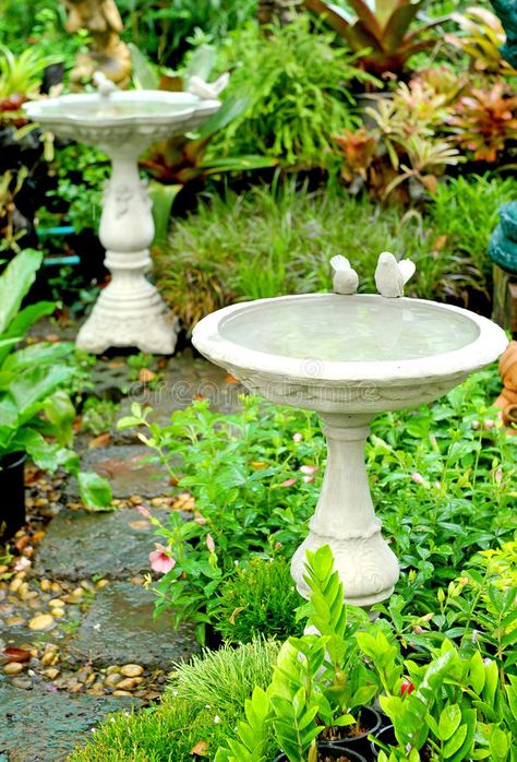 Water Fountain For Birds, Colourful Animals, Decorative Fountains, Bird Fountain, Outdoor Water Feature, Fountain Design, Australian Wildlife, Exotic Birds, Water Feature