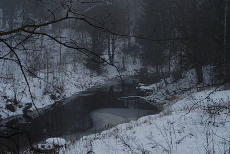 Dark Paradise, Winter Aesthetic, Nature Aesthetic, Pretty Places, Wisteria, In The Woods, Dark Aesthetic, Pretty Pictures, Skating