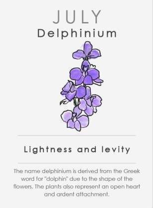 July Birth Flower - Delphinium Delphinium Tattoo, Flower Delphinium, Delphinium Bouquet, 27 Tattoo, July Birth Flower, Delphinium Flowers, Shape Tattoo, Muster Tattoos, Birth Flower Tattoos