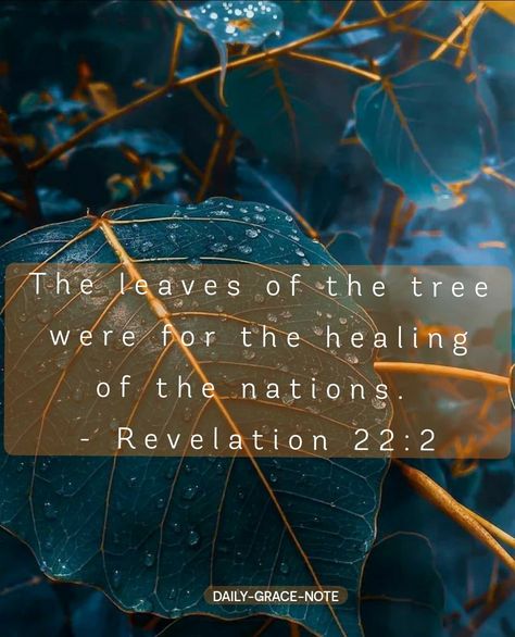 Revelation 11, Cracked Wallpaper, 1st May, Revelation 22, Daily Grace, Christian Posters, Bible Notes, Bible Reading, Art House