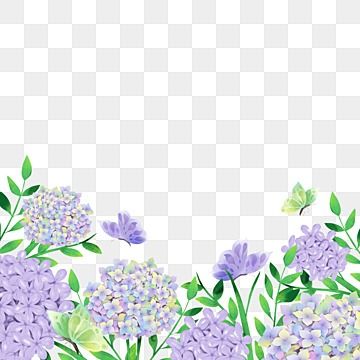 Watercolor Hydrangeas, Butterfly Border, Watercolor Hydrangea, Round Border, Flowers Frame, Watercolor Butterfly, Hydrangea Purple, Hydrangea Flowers, Frame Png