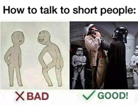 how to talk to short people Short People Memes, Short People Jokes, Star Wars Meme, Funny Star Wars Memes, Funny Tumblr, Star Wars Jokes, Short People, How To Talk, Star Wars Humor