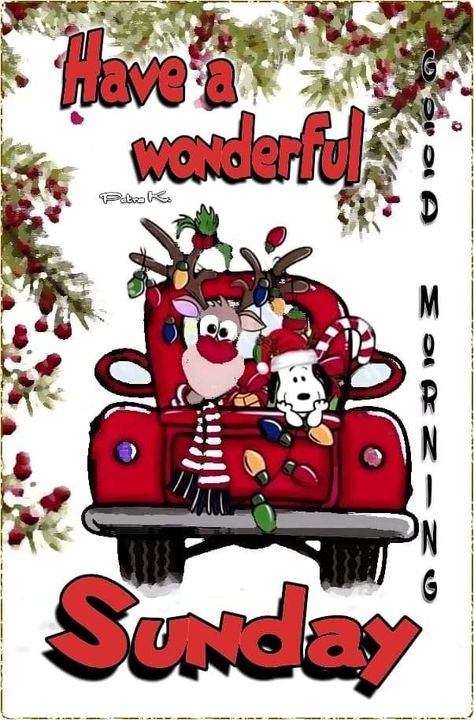 Merry Xmas Greetings, Animated Christmas Card, Scentsy Christmas, Good Morning Happy Weekend, Good Morning Animals, Good Morning Wishes Friends, Christmas Sunday, Good Morning Christmas, Good Morning Sunday