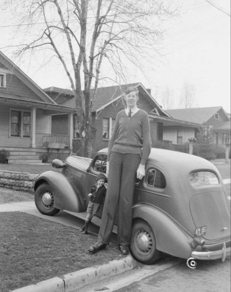 Alton Illinois, Illinois, Old Things, Books, Quick Saves