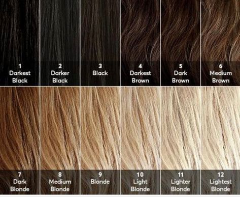 Hair Level Chart, Bleaching Dark Hair, Diy Bleach Hair, Bleaching Hair At Home, Dark To Light Hair, Bleach Hair Color, Hair Chart, Hair Bleaching, Hair Levels