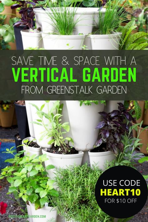 Are you looking for a way to grow more food and use less space? This is it! I have been able double my gardening space on my backyard patio by using these vertical planters. Best thing about them is their unique integrated watering system so you save a lot of time and water too. Garden // Backyard Garden // Garden Ideas // Container Garden // Vertical Garden #backyardgardening #verticalgardening #garden #verticalgrowing #containergarden #backyardgarden #gardening Planter Garden Ideas, Greenstalk Vertical Planter, Gardening Vertical, Garden Ideas Vegetable, Garden Vertical, Gardening With Kids, Planter Garden, Vertical Planter, Watering System