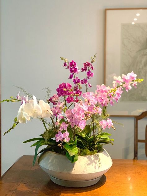 Plants Display Ideas, Orchid Growing, Orchid Flower Arrangements, Home Decor Apartment, Boquette Flowers, Orchids Garden, Orchid Arrangements, Flower Vase Arrangements, Nothing But Flowers