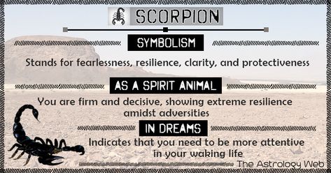 Scorpion Meaning and Symbolism | The Astrology Web Scorpion Dream Meaning, Scorpion Spirit Animal, Scorpion Spiritual Meaning, Scorpion Meaning, Scorpion Symbolism, Animals Symbolism, What's My Spirit Animal, Spiritual Animals, Animal Totem Spirit Guides