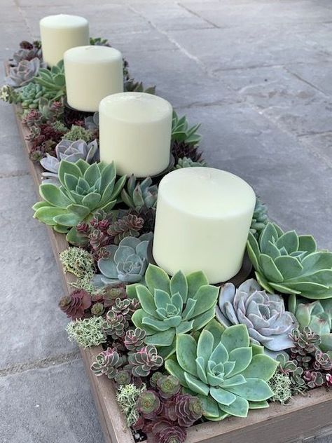 Succulent Candle Centerpiece, Succulent Candle, Succulents Candles, Candle Centerpiece, Succulent Garden Design, Succulent Centerpieces, Succulent Garden Diy, Succulents Decor, Succulent Gardening