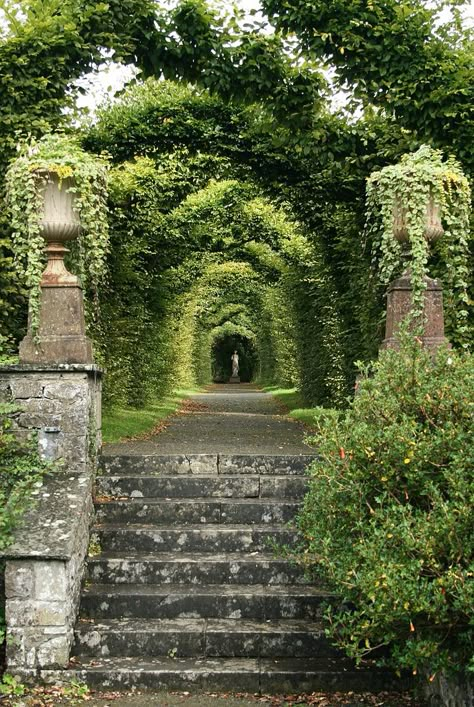 Birr Demesne formal garden arbor | by ravitch A Garden, Ivy, Entrance, Stone