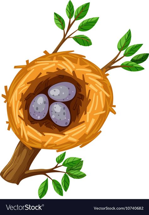 Nest Images, Tiny Bird Tattoos, Inkscape Tutorials, Bird Template, Hot Wheels Garage, Cardboard Box Crafts, Flashcards For Kids, Bird Crafts, Art Drawings For Kids