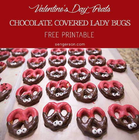 School Treat Ideas, Ladybug Pretzels, Daycare Treats, Bug Valentines, Pretzel Snacks, Valentine's Day Treats, Creative Snacks, Chocolate Covered Treats, Ladybug Party