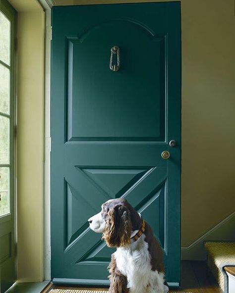 Revamp for fall by adding Jack Pine 692 in Aura® Grand Entrance® to your door. Its rich, lustrous finish will make your home look like new. Benjamin Moore Exterior Paint, Benjamin Moore Exterior, Jack Pine, Green Front Doors, Black Front Doors, Deco Studio, Painted Front Doors, Paint Colors Benjamin Moore, Casa Vintage