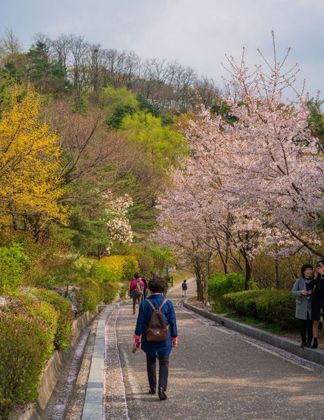 6+ of Seoul's Secret Highlights 5 Places In Seoul, Botanic Park, Namsan Tower, World Cup Stadiums, Visit Seoul, Lotte World, Secret Location, South Korea Travel, Korea Travel