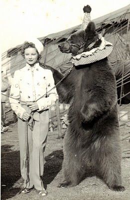 Circus Bear and Trainer Bear Circus, Photo Ours, Circus Bear, Clown Collar, Circus Vintage, Old Circus, Circus Aesthetic, Pierrot Clown, Circus Sideshow