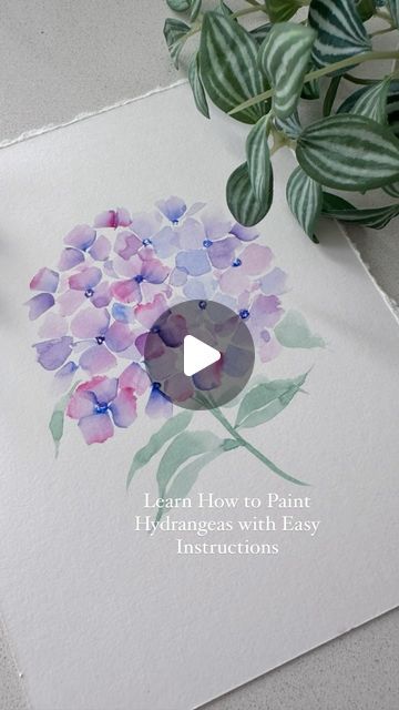 Assel on Instagram: "How to Paint Hydrangeas in Loose Watercolor  1. Prepare various shades of blue, purple, pink for petals, and green for leaves. 2. Apply a light, loose wash of petal colors with a dagger or petal brush . 3. Add darker shades and details once paper is dry 4. Use loose strokes to paint leaves and stems with greens. 5. Add final touches to flower centers and adjust as needed.  Enjoy your loose watercolor hydrangeas!  Materials:  ·	Watercolor paper - @cansonpaper  ·	Watercolor paints - @winsorandnewton  ·	Watercolor brushes - @princetonbrush  • • • • • • • • • • #WatercolorArt #HydrangeaPainting #LooseWatercolor #WatercolorFlowers #ArtTutorial #PaintingProcess #WatercolorTechniques #ArtInspiration #ArtistLife #WatercolorLovers #CreativeProcess #ArtCommunity #CansonPaper #Wi Hydrangea Watercolor Painting, Paint Hydrangeas, Watercolor Hydrangeas, Paint Leaves, Watercolor Hydrangea, Hydrangea Painting, Watercolor Pictures, Loose Watercolor, Watercolor Painting Techniques