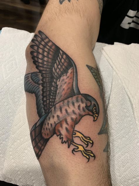 Traditional Falcon Tattoo, Ray Bradbury Tattoo, Peregrine Falcon Tattoo, Falcon Tattoo, Texas Tattoos, Prison Tattoos, Traditional Tattoo Inspiration, Peregrine Falcon, R Tattoo