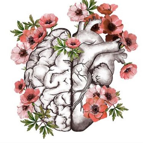 Half heart and brain, right balance between head or brain and heart, drawing red anemones flowers anemoneus Brain And Heart Drawing, Brain Painting, Anatomical Heart Art, Brain Drawing, Brain Tattoo, Medical Drawings, Red Anemone, Heart And Brain, Half Heart