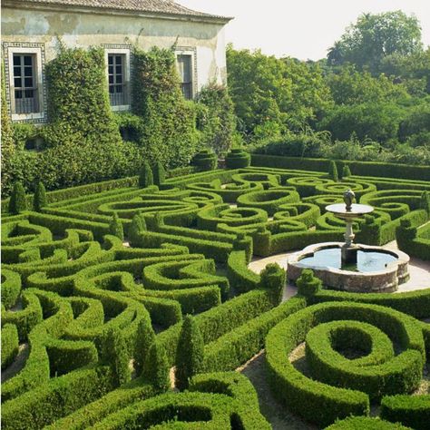 Garden Mazes 🌳 The fashion for garden mazes dates back to the Middle Ages. Initially, they held some sacred significance, but later they became an exquisite decoration and entertainment. Neither adults nor children will be bored in a garden with at least a small green maze. But today we’ll show you the biggest ones. Swipe through the carousel! 😍 🌿 Longleat Hedge Maze in England The path length is 2.72 km, and the area is 0.6 hectares, which is a real world record! 🌿 Labirinto della M... Garden Maze, Labyrinth Garden, Topiary Garden, Potager Garden, Victorian Garden, Formal Garden, The Secret Garden, Formal Gardens, Shade Garden