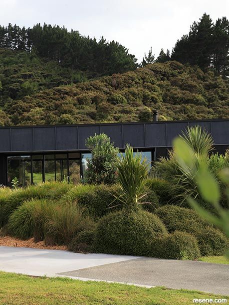 Black Home Exterior, Nz Garden, Lifestyle Block, Valley Landscape, Coastal Breeze, Native Plant Gardening, Garden On A Hill, Backyard Privacy, Outdoor Bath