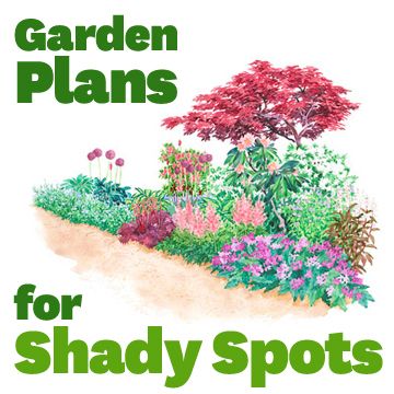 Do you have shady spots in your backyard? Jazz them up with these shade-friendly plans. Shade Flowers, Garden Plans, Homestead Survival, Shade Plants, Lawn And Garden, Shade Garden, Outdoor Plants, Dream Garden, Better Homes And Gardens