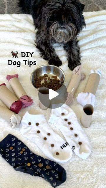 Nina Ottosson on Instagram: "🐕‍🦺 Dog DIY Tips 🧩 Recycling your old socks and toilet rolls, by hiding treats inside.  🐕‍🦺 I love find different ways to challenge my dogs mind, and if your dog like this, they will definitely like puzzles as well 🧩  👉 Feel free to share if you like it 🧩 / Nina 👋  #ninaottosson #dogdiy #diy #dogs #puppy #dogpuzzle #dogenrichment #pets #ninaottossondogtips" Dog Puzzles Diy, Puppy Puzzle, Dog Minding, Dog Diy, Dog Enrichment, Dog Puzzles, Dog Socks, Dogs Puppy, Diy Tips