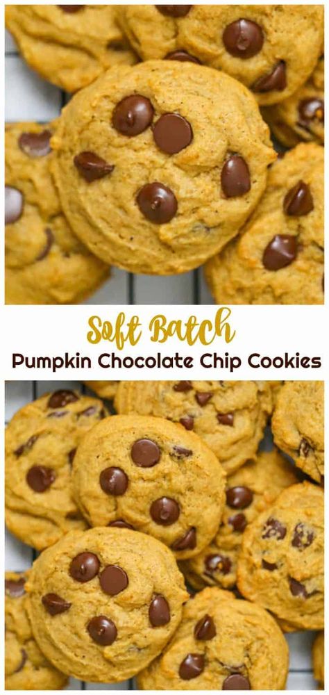 Soft Batch Pumpkin Chocolate Chip Cookies {Eggless too!} #eggless #chocolate chip #pumpkin #soft batch #baking #cookies #fall Pancake Protein, Soft Pumpkin Chocolate Chip Cookies, Cookies Thanksgiving, Eggless Chocolate Chip Cookies, Mini Burger, Pumpkin Chocolate Chip, Pumpkin Chocolate Chip Cookies, Thanksgiving Cookies, Pumpkin Chocolate Chips