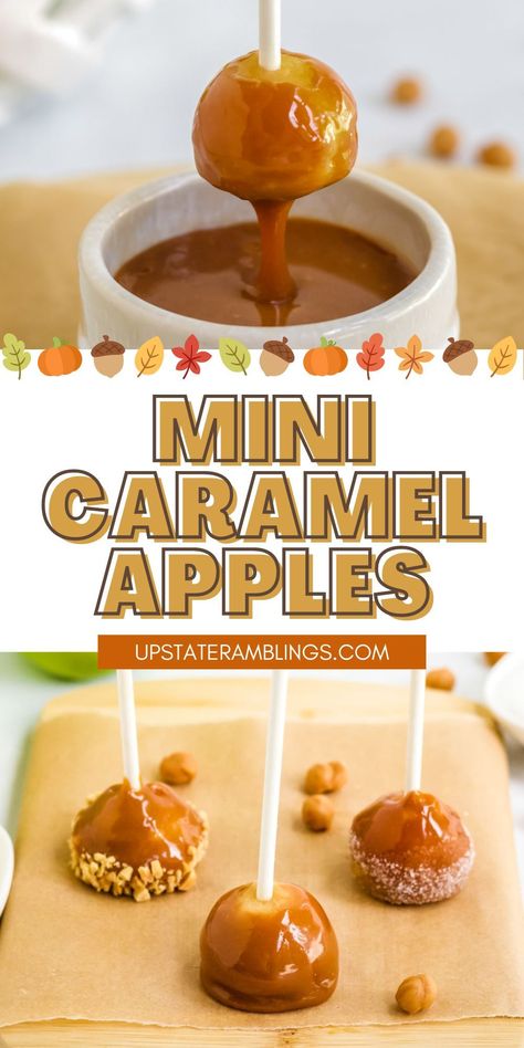 Mini Caramel Apples Mini Caramel Apples Pops, Caramel Apple Kabobs, Mini Carmel Apple Balls, Carmel Apple Slices Halloween, Caramel Apple Balls, Caramel Apple Pretzel Bites Recipes, Carmel Apple Bites With Rolos, Caramel Apple Wedges On A Stick, Mini Carmel Apples Bites