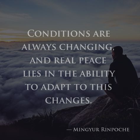 Conditions are always changing, and real peace lies in the ability to adapt to this changes. — Mingyur Rinpoche Dharma Quotes, Buddhist Quotes, Positive Inspiration, Magic Words, Spiritual Wisdom, Change Quotes, Spiritual Inspiration, Inspirational Quotes Motivation, Way Of Life