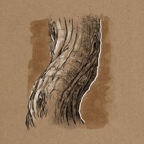 Tree Trunk Reference, How To Draw Tree Bark Texture, Tree Bark Sketch, Tree Bark Illustration, How To Draw Tree Trunk, How To Draw Tree Bark, Tree Trunk Sketch, Tree Texture Drawing, Tree Bark Drawing