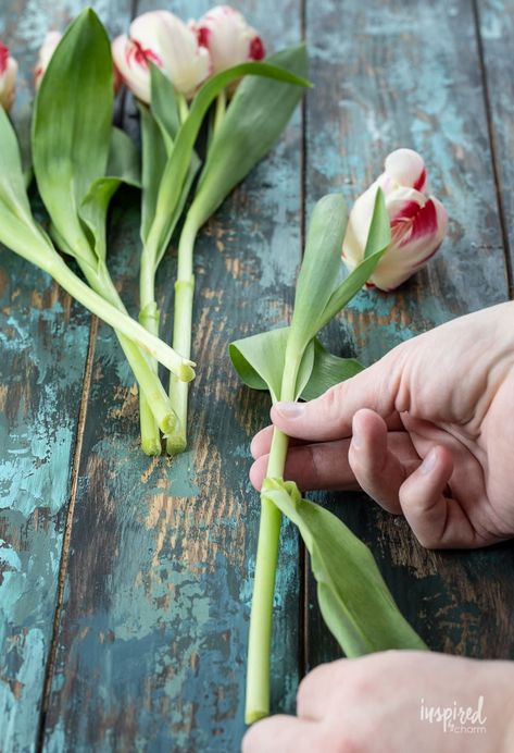 Tulip Flower Arrangements, Mason Jar Arrangements, Tulips Arrangement, Spring Floral Arrangements, Parrot Tulips, Tulips In Vase, Memorial Flowers, Flower Arrangements Simple, Floral Tape