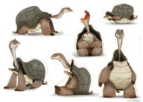 Turtles, Thibault LECLERCQ on ArtStation at https://www.artstation.com/artwork/3vr2E Character Design Cartoon, Fantasy Male, Character Design Animation, Animal Sketches, Hayao Miyazaki, Character Design References, Illustration Character Design, Art Anime, Miyazaki