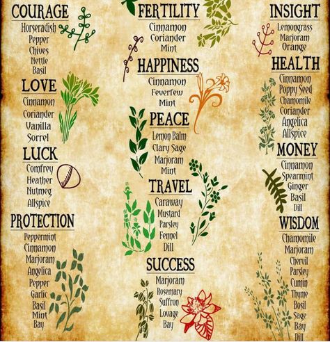 Art Witchcraft, Witch Poster, Witchcraft Herbs, Witch Herbs, Magia Das Ervas, Magic Herbs, Grimoire Book, Kitchen Witchery, Magical Herbs