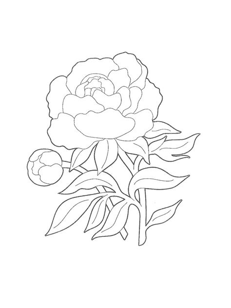 Peony Flower coloring pages. Download and print Peony Flower coloring pages Growing Peonies, Flowers Growing, Poppy Art, Coloring Pages For Boys, Flower Coloring Pages, Peony Flower, In The Wild, Painting Patterns, Amazing Flowers