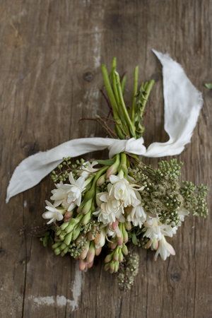 My absolute favorite. Future bridesmaids bouquets for sure! @jennifer stanley im sure will love too! Cut Garden, Moonlight Garden, Floral Arranging, Winter Bouquet, Memorial Flowers, Flower Arrangements Simple, Gardening 101, Hand Bouquet, Easy Flower