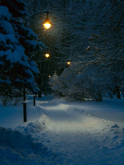 A snowy path with a street light in the distance photo – Free Nostalgic Image on Unsplash Snowy Street Night, Gloomy Christmas, Vip Card Design, Snowy Path, Snowy Street, Night To Shine, Night Road, It's Snowing, Nostalgic Images