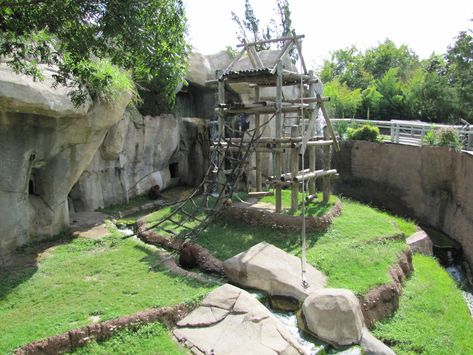 Fort Worth Zoo 2010 - Orangutan exhibit in World of Primates - ZooChat Zoo Exhibit, Zoo Boo, Fort Worth Zoo, Zoo Architecture, Animal Learning, Aquarium Design, Primates, Zoo Animals, Garden Bridge