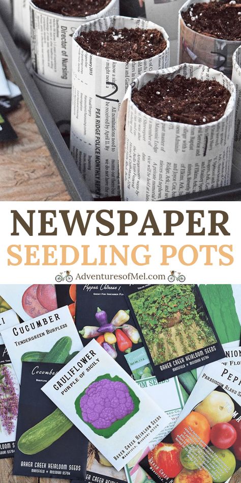 Make Your Own Newspaper, Indoor Seed Starting, Starting Seeds, Seedling Pots, Seed Pots, Plants Pots, Trendy Plants, Starting Seeds Indoors, Veg Garden