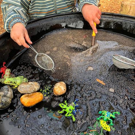 Tadpole Activities Preschool, Frog Life Cycle Eyfs Activities, Frog Provocation, Frog Tuff Tray Ideas, Frog Tuff Tray, Insect Sensory Play, Frog Sensory Play, Small World Tuff Tray, Frogs Eyfs