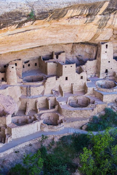 The Majestic Cliff Palace in Mesa Verde National Park: A Glimpse into Ancient Civilizations – National Park Field Guide Cliff Palace, Mammoth Cave National Park, Guadalupe Mountains National Park, Carlsbad Caverns National Park, Guadalupe Mountains, Channel Islands National Park, Glacier Bay National Park, Katmai National Park, Mammoth Cave