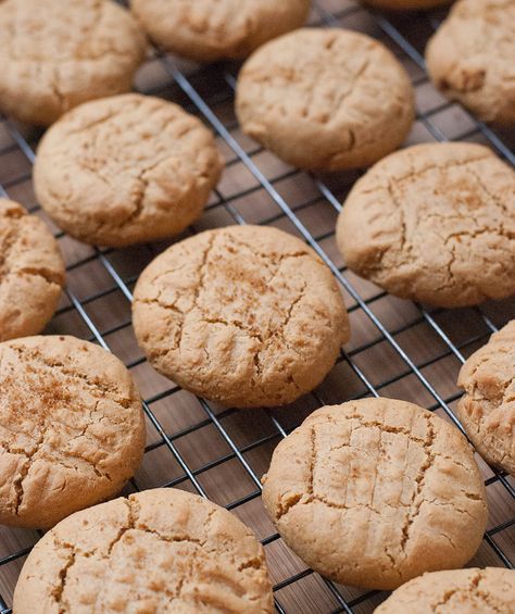 Soft Coconut Peanut Butter Cookies for National Peanut Butter Day Coconut Peanut Butter Cookies, Paleo Peanut Butter Cookies, National Peanut Butter Day, Cookies Sans Gluten, Coconut Flour Cookies, Healthy Peanut Butter Cookies, Butter Cookies Easy, Coconut Cookies Recipes, Soft Peanut Butter Cookies