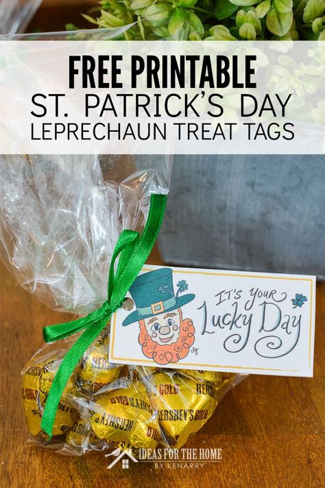 It's your lucky day! These leprechaun printable treat tags are super cute and a perfect St. Patrick's Day party idea for party favors - and best of all they're FREE! #kenarry #ideasforthehome Leprechaun Gift, Gold Party Favors, Shamrock Craft, St Patrick Day Treats, St Patrick's Day Crafts, Easy Arts And Crafts, Saint Patties, Spring Ideas, Irish Recipes