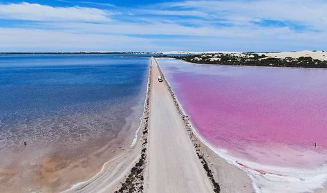 Pink Lake, Fraser Island, Island Lake, Pink Water, The Great Lakes, Caravan Park, Face Lift, Calm Water, Water Skiing