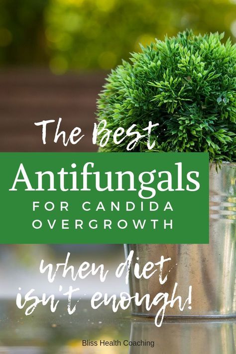 Are you struggling with candida overgrowth? Bloating, weight problems, acne, brain fog, migraines and digestive issues are all symptoms of candida. Sometimes diet isn't enough. Find out what supplements you can use to kill candida overgrowth. #candida #candidaovergrowth #candidasupplements #candidadiet #guthealth #gut Candida Supplements, Candida Symptoms, Candida Recipes, Candida Cleanse, Candida Overgrowth, Digestive Issues, Candida Diet, Mango Recipes, Weight Problems