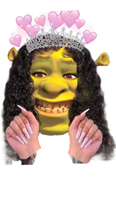 Shrek Aesthetic Cute, Baddie Pfps Aesthetic, 70s Photoshoot, Shrek Funny, Peppa Pig Funny, Bad Karma, Barbie Funny, Cute Funny Pics, Funny Pix