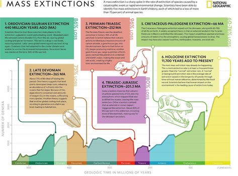 Geologic Time Scale, Species Extinction, Physical Geography, Environmental Change, Earth Atmosphere, Forms Of Communication, Promotional Image, Wipe Out, Animal Species